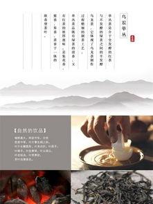 茶叶爆料视频素材大全下载,揭秘视频素材大全中的茶叶奥秘  第3张