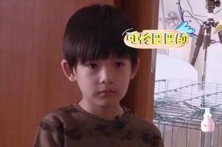 董洁和他儿子爆料视频,母子情深背后的家庭故事  第3张