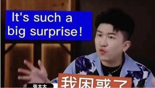 天禄小胖爆料视频大全,揭秘幕后真相与趣味瞬间