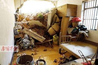 石头镇最新爆料,揭秘神秘事件背后的惊人真相  第3张