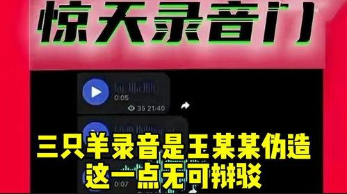 三只羊最新录音爆料,独家爆料背后的故事与真相 第3张 三只羊最新录音爆料,独家爆料背后的故事与真相 第3张