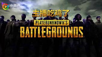 吃鸡葫芦爆料视频大全,揭秘热门游戏幕后故事  第3张