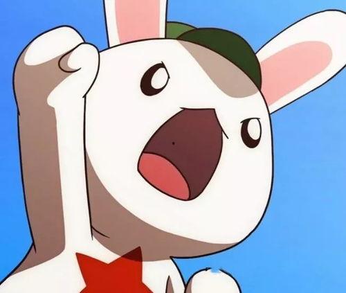 二驴和舒克最新爆料 第2张 二驴和舒克最新爆料 第2张