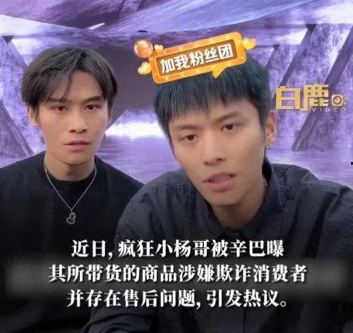 小杨哥兄弟互相爆料视频,小杨哥兄弟爆料视频大揭秘  第3张