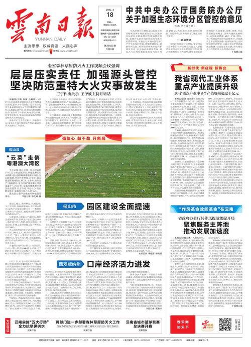 云南爆料最新新闻事件,神秘事件引发社会关注  第3张