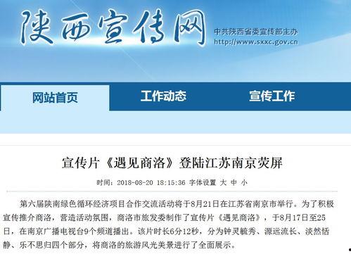 南京导游爆料新闻报道最新,揭秘古都背后的历史故事与神秘传说  第2张