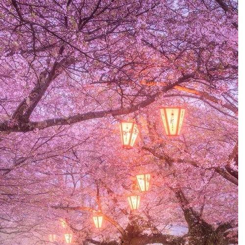 拖鞋妹在线观看 下载,在线观看与下载,轻松畅享欢乐时光 第3张 拖鞋妹在线观看 下载,在线观看与下载,轻松畅享欢乐时光 第3张